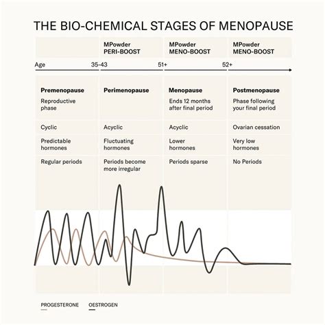 The 3 Stages Of Menopause Explained