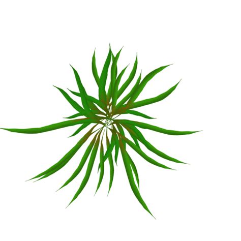 Plant cell and environment endnote style. Free Animated Pictures Of Plants, Download Free Animated ...