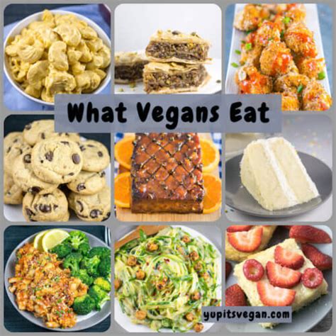 An Introduction To What Vegans Eat Yup Its Vegan