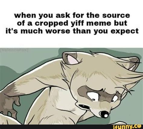 When You Ask For The Source Of A Cropped Yiff Meme But Its Much Worse
