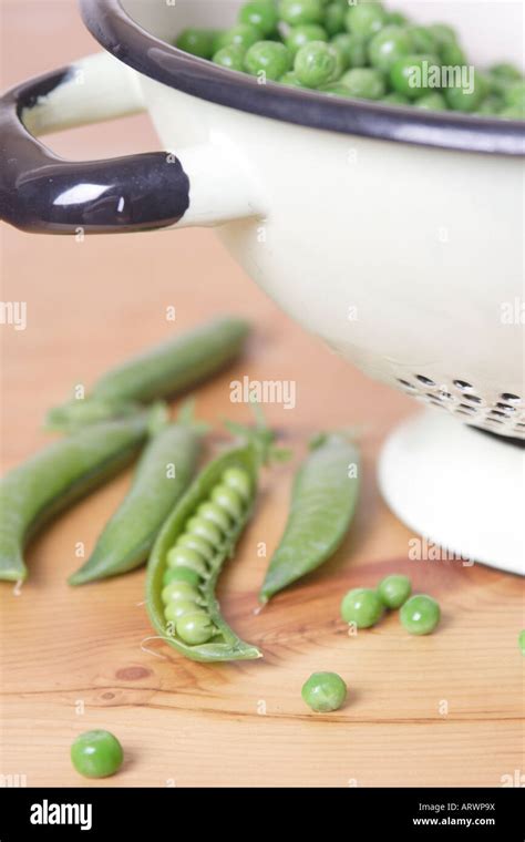 Sweet Pea Seed Pod High Resolution Stock Photography And Images Alamy