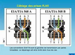 Resist Financial Perceptual Branchement D Une Prise Rj Legrand Leakage Reserve Visual