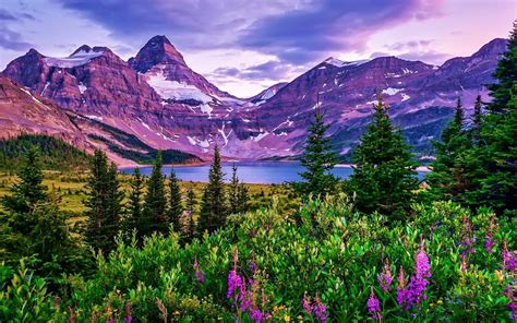 Mountain Landscape Hd Wallpapers Top Free Mountain Landscape Hd