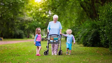 Top Walker Bags and Wheelchair Organizers