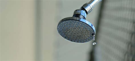 shower head leaking plumbing issues professional plumber