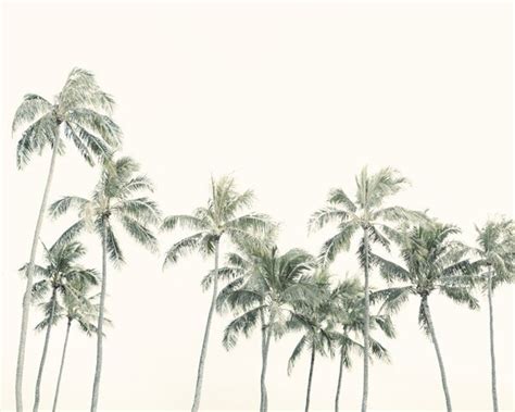 Palm Tree Photo Modern Minimalist Tropical Decor Beach