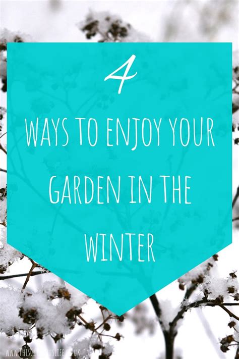 4 Ways To Enjoy Your Garden This Winter This Glorious Life