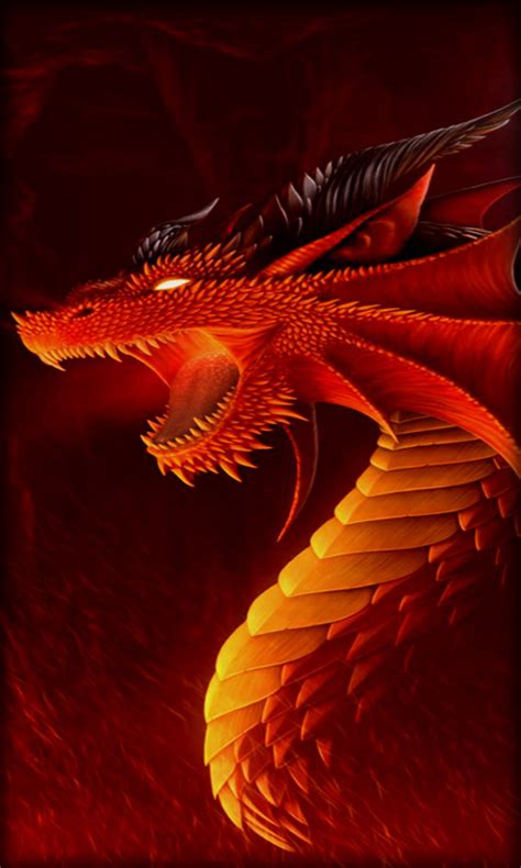 Best Dragon Live Wallpaper Wallpapersafari