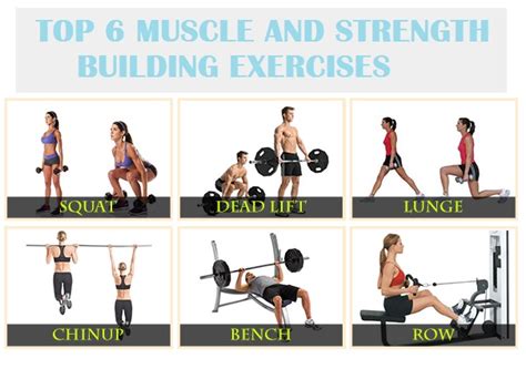Muscle Palace Top 6 Strength And Mass Building Exercises