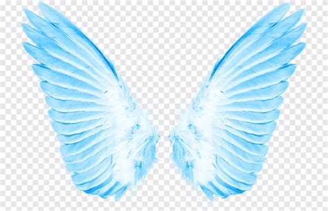 Blue Angel Wings Logo