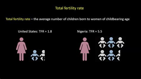 Fertility Rates Youtube