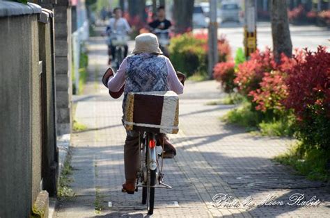 自転車の老婦人 愛媛県西条市神拝｜西条異景 西条祭り・愛媛県西条市