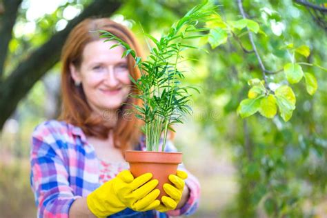 Girl Plants A Plant Stock Image Image Of Leaf Gardening 139416607