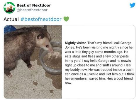 Our neighbors have made bogus and completely fabricated complaints to our township about us, and. Funny Nextdoor Posts That Will Make You Grateful For Your ...