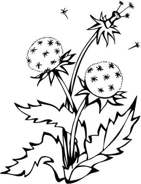 Op het grasplein lopen en rennen ze met de bal. Coloring dandelion picture | Coloring pictures, Colorful ...