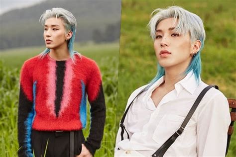 Haircut Kpop Korean Mullet - Korean Idol