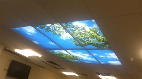 Ceiling panels are the perfect alternative to traditional solutions. Lighted Ceiling Panels - Cost Effective Way of Customizing ...