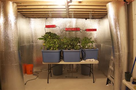 Basement Grow Room Basement Grow Room Tips For Noise Control For The