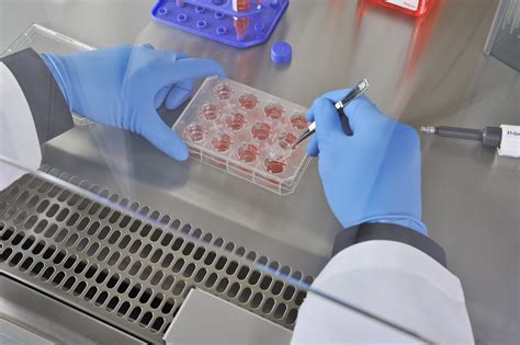 We did not find results for: Cell culture surface designed to enable consistent ...