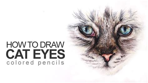 <5>draw the mouth and chin. How to Draw Cat Eyes with Colored Pencils