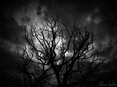 Dark Shades Vlad Ionita Flickr