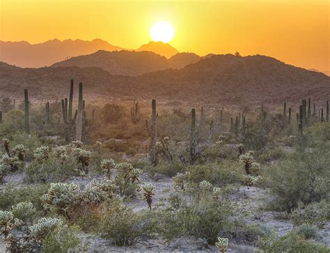 Americas Great Outdoors Sonoran Desert National Monument In Arizona