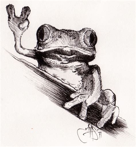 Pin By Heather Montgomery On ️art ️ Frog Art Frog Drawing Animal
