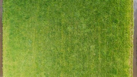 Aerial View Grass Field Stock Footage Videohive