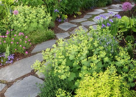 Tolerant of poor and alkaline soil. VW Garden: Deer Resistant Perennials for Spokane - Zone 5