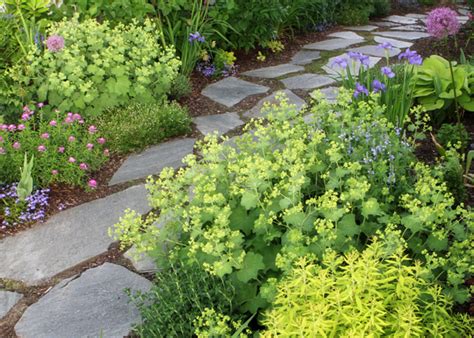 Sun loving flowers that resist deer. VW Garden: Deer Resistant Perennials for Spokane - Zone 5