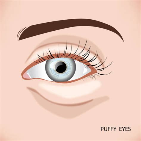 5700 Womans Eye Closeup Illustrations Royalty Free Vector Graphics