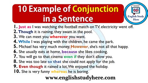10 Example Of Conjunction In A Sentence English Study Here