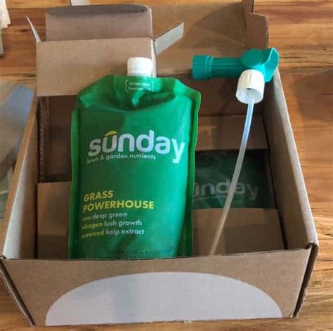 We did not find results for: Sunday Lawn Care: Hands-On Review - Thriving Yard