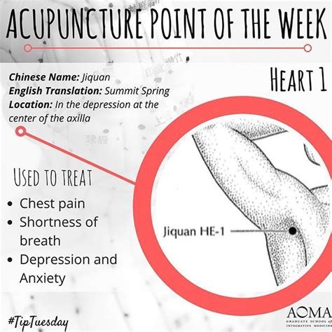 Tiptuesday Acupuncture Point Of The Week Heart 1 Tcm