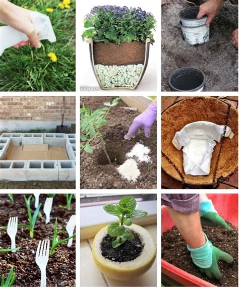 40 Gardening Tricks The Pros Dont Want You To Know