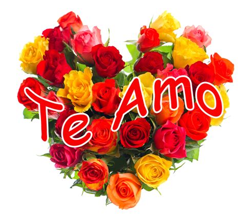 Banco De ImÁgenes Te Amo Corazón Con Rosas De Colores Y Mensaje De Amor