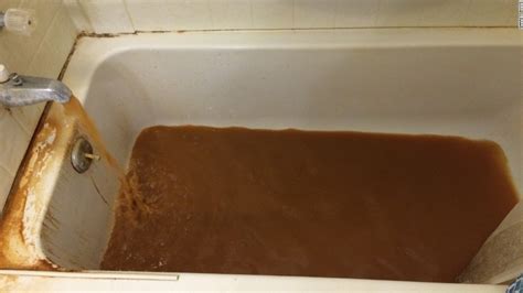 Why Brown Water Isnt Always Dirty