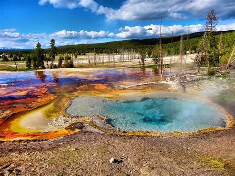 Colors Of Yellowstone National Park Photograph By Dan Sproul