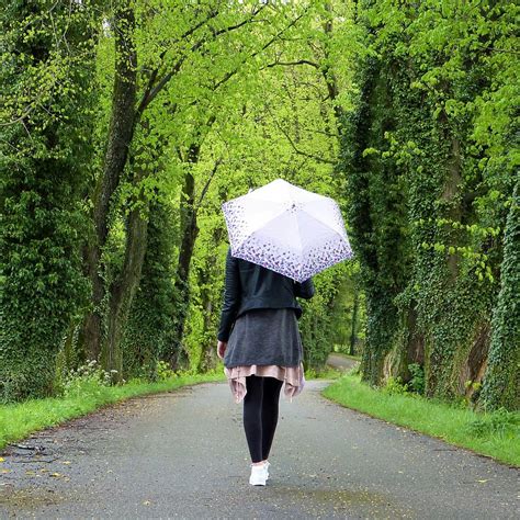 Hd Wallpaper Two Person Walking On Pathway Holding Open Umbrella