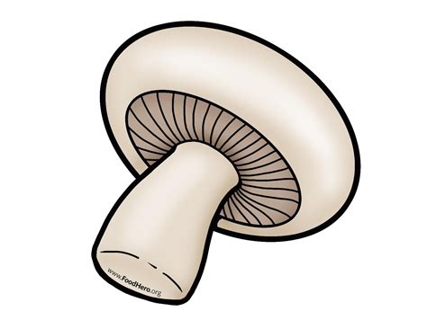 Mushroom Illustration Mushroom Stuffed Mushrooms Clip Art Everyday Objects