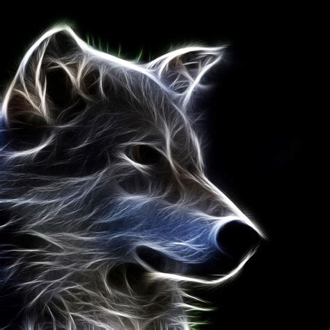 Image By Tammy Mcghee On Just So Cool Abstract Wolf