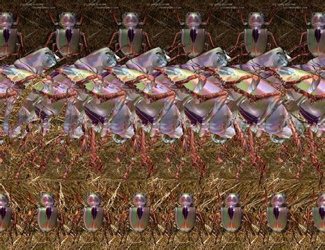 Magic Eye Hidden 3d Images Hidden Pictures Magic Eye Pictures 3d