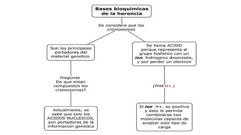 Bases De La Herencia Jennifer Mendivil Alhuay Udocz