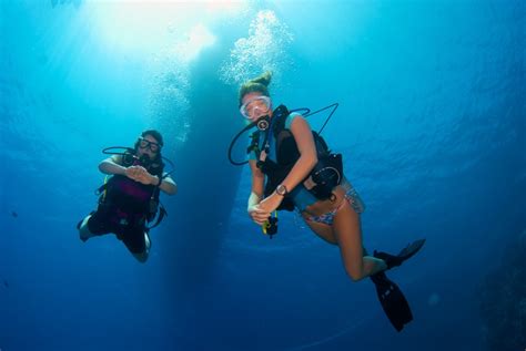 Scuba Travel Dive Show Special Offers Available Now Book Before 30
