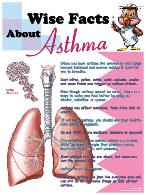 To diagnose asthma, your doctor will evaluate your symptoms, ask for your complete health history, conduct a physical how is asthma treated? FREE Asthma Poster & $10 Gift Card-PULSE15