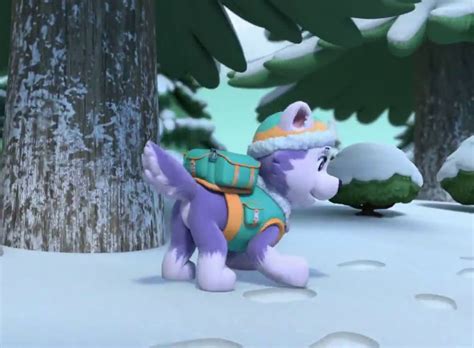 Everest Snapshot By Marverestxaisha 04 On Deviantart Paw Patrol Pups