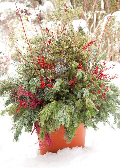 Impress Your Guests With These 14 Holiday Container Garden Ideas