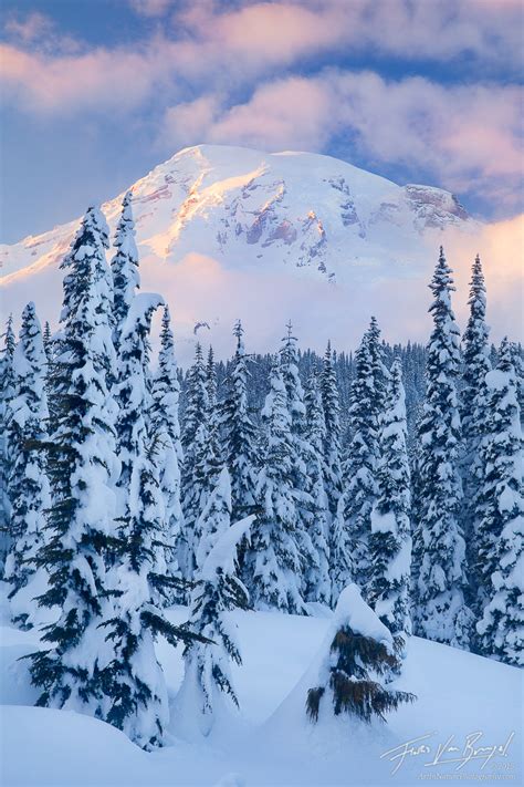 Winter In Paradise Mt Rainier Np Wa Art In Nature Photography