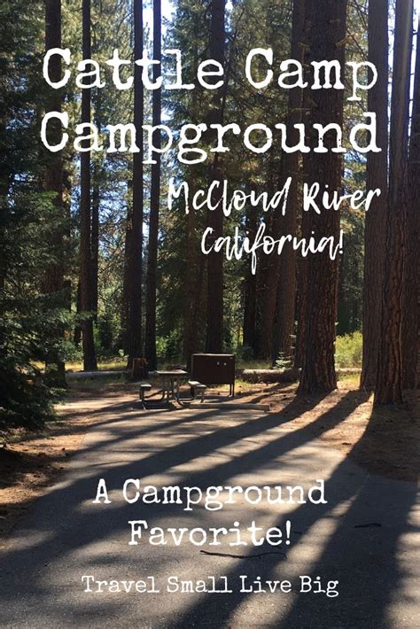 Maybe you would like to learn more about one of these? Cattle Camp Campground ~ McCloud River, California ~ A RV ...