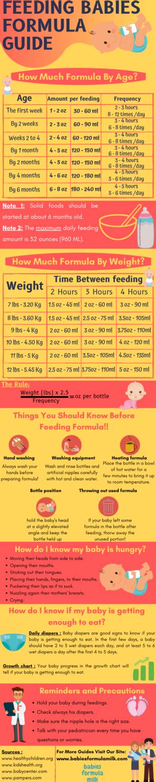 How Much Formula Should A Baby Eat The Ultimate Guide